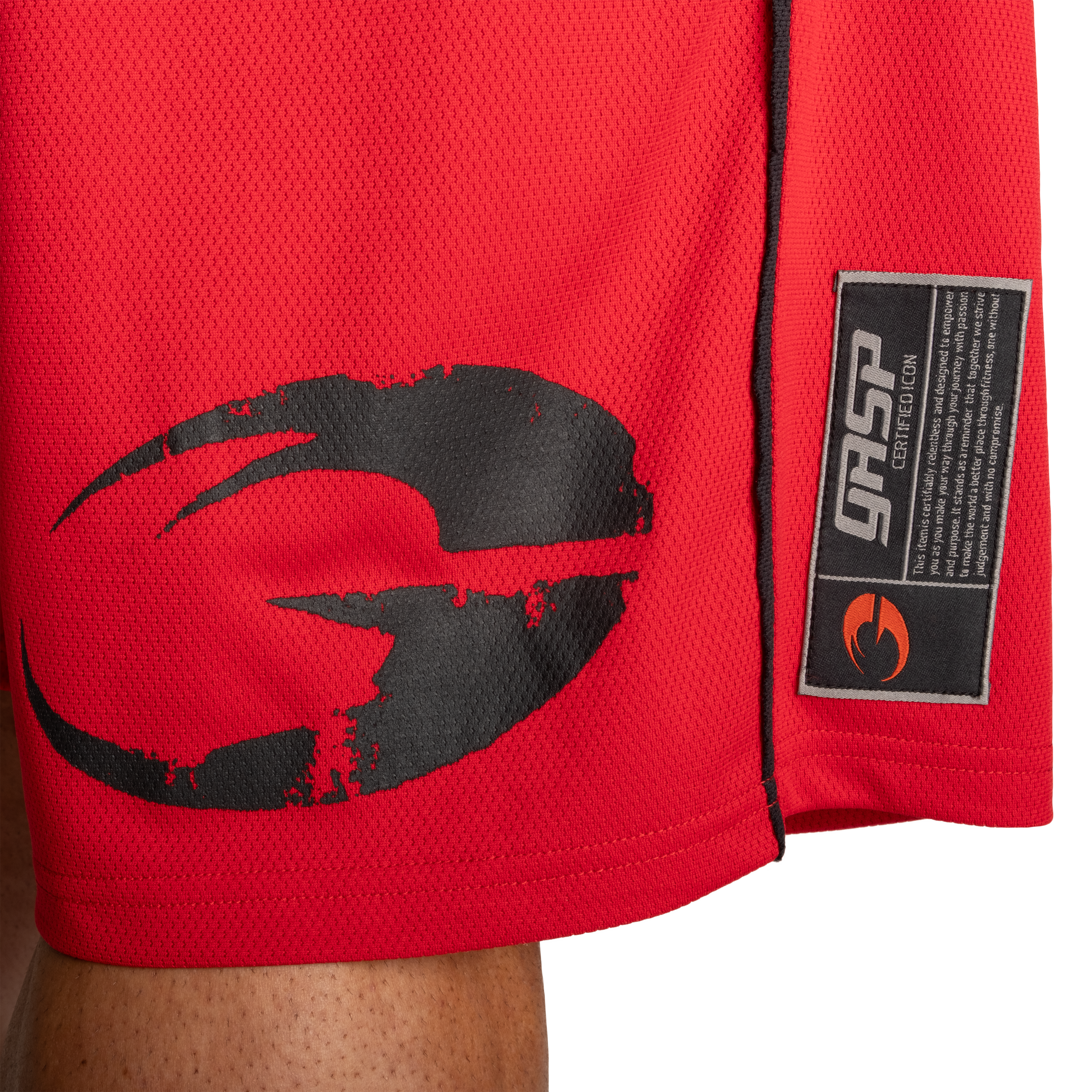 GASP Pro Mesh Shorts